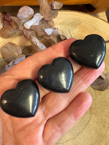 Shungite Mini Hearts SKU 24668
