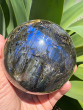 Labradorite Large Sphere SKU 23902