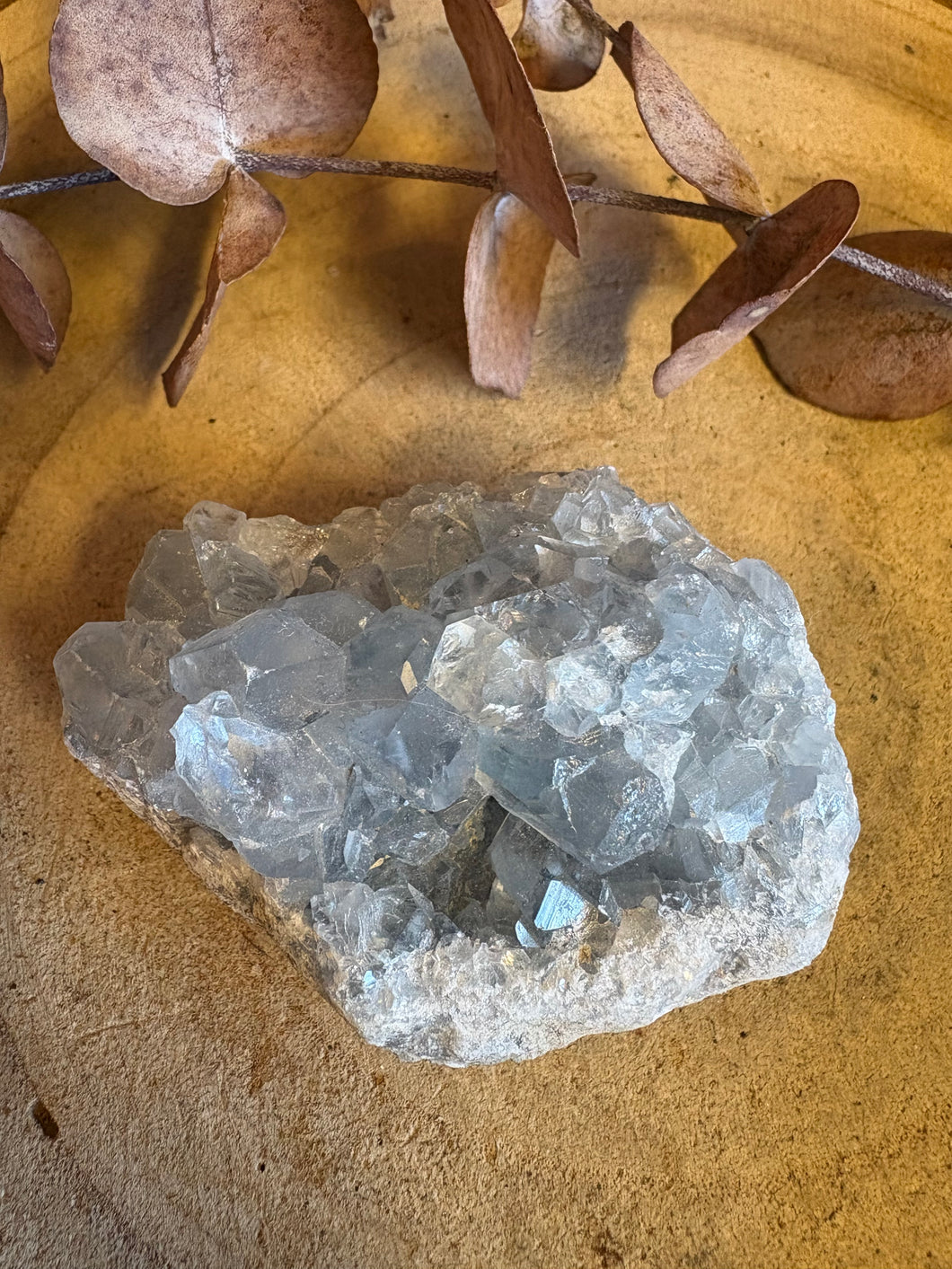 Celestite Cluster SKU 26181