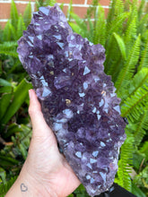 Amethyst Cluster in Stand SKU 24531
