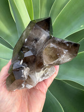 Smoky Quartz Large Cluster SKU 26189