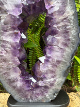 Amethyst Geode Slice in Wooden Stand SKU 25396