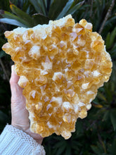 Citrine Cluster in Wooden Stand SKU 24909