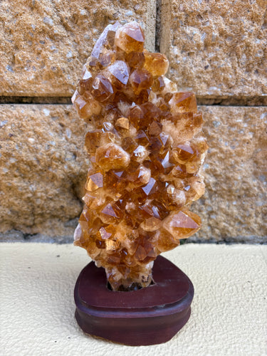 Citrine Cluster in Wooden Stand SKU 24533