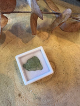 Moldavite Specimen SKU 26911