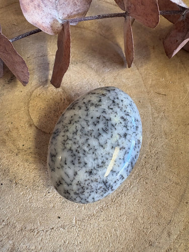 Dendritic Opal Palm Stone SKU 25598