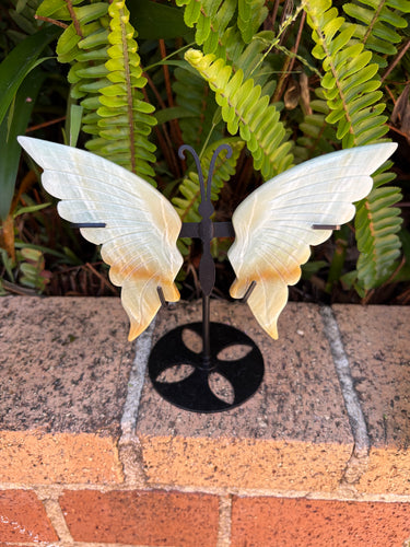 Amazonite Winged Butterfly SKU 25316