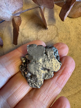 Campo del Cielo Meteorite SKU 26232