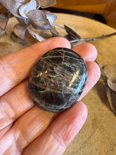 Black Moonstone Palm Stone SKU 24557