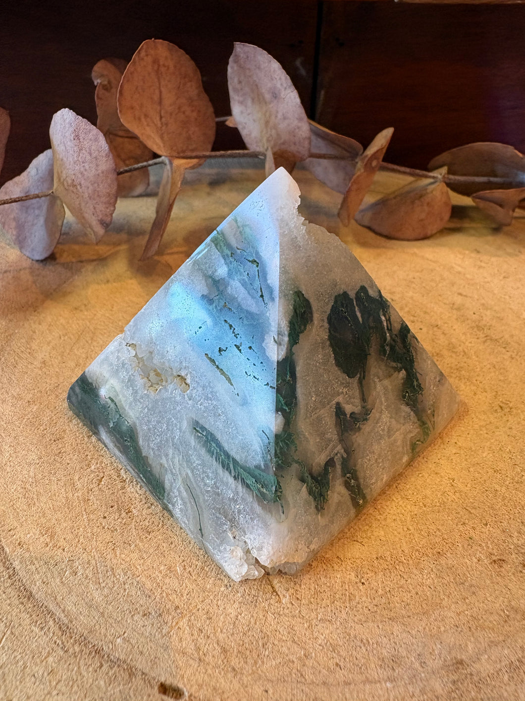 Tree Agate Pyramid SKU 26496A