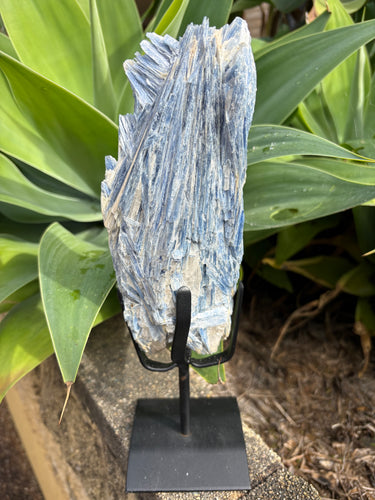 Blue Kyanite Cluster on Stand SKU 26264