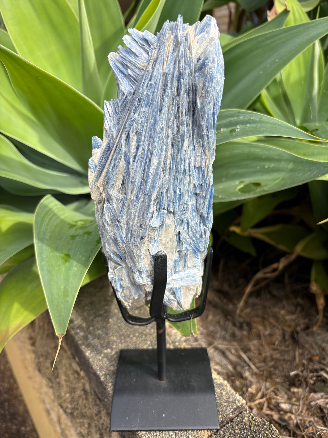 Blue Kyanite Cluster on Stand SKU 26264
