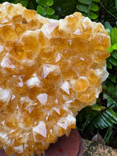 Citrine Cluster in Wooden Stand SKU 24910