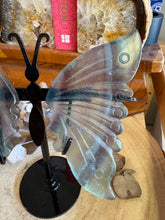 Rainbow Fluorite Butterfly Wings in Stand SKU 23949B