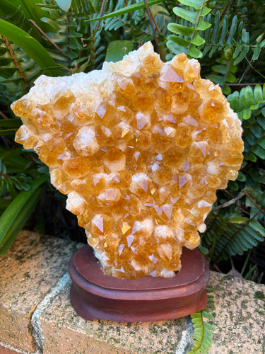Citrine Cluster in Wooden Stand SKU 24909