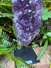 Amethyst Cluster in Stand SKU 24531