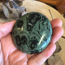 Kambaba Jasper Palm Stone SKU 23308