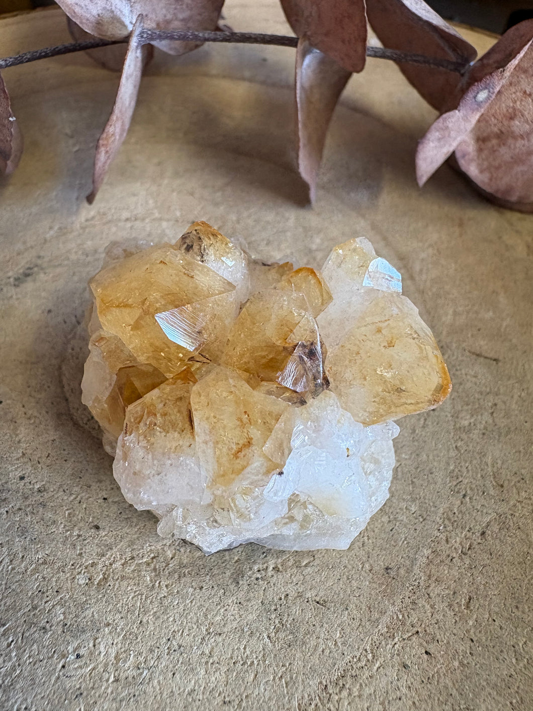 Citrine Cluster SKU 23417