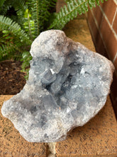 Celestite Geode Cluster SKU 26188