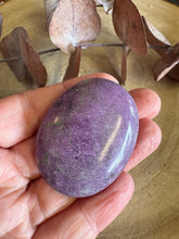 Serpentine & Stichtite Palm Stone SKU 25745