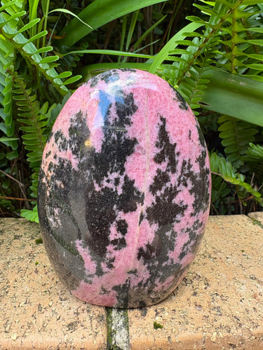 Rhodonite Freeform SKU 25825