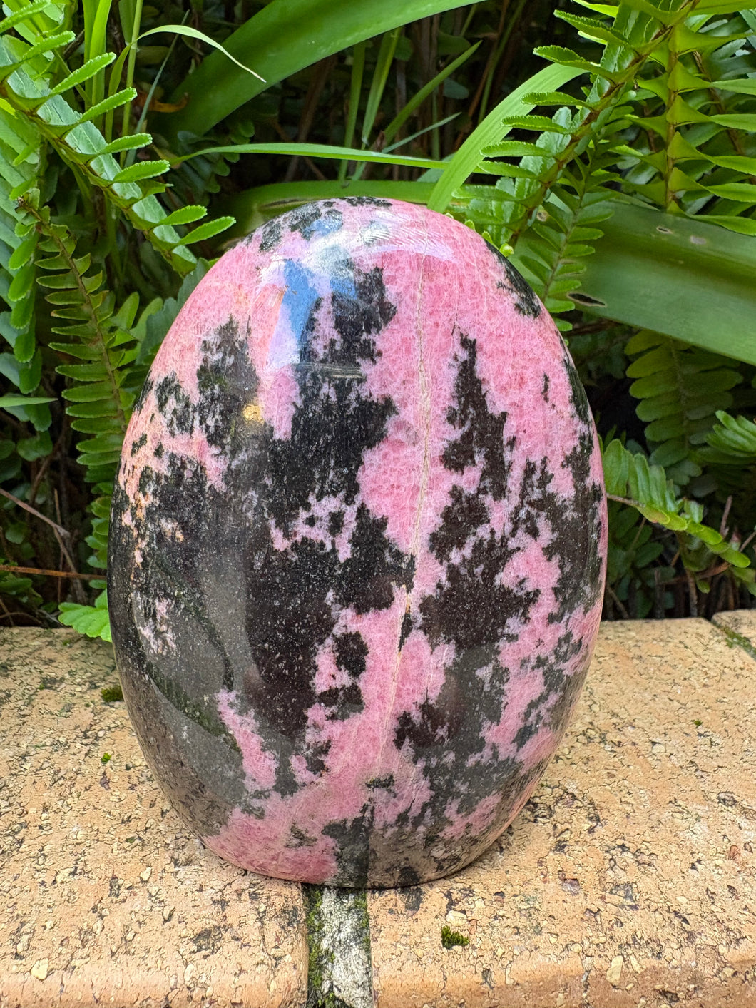 Rhodonite Freeform SKU 25825
