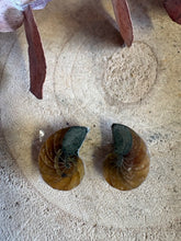 Ammonite Fossil Pair SKU 25870
