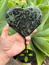 Kambaba Jasper Heart in Stand SKU 27052