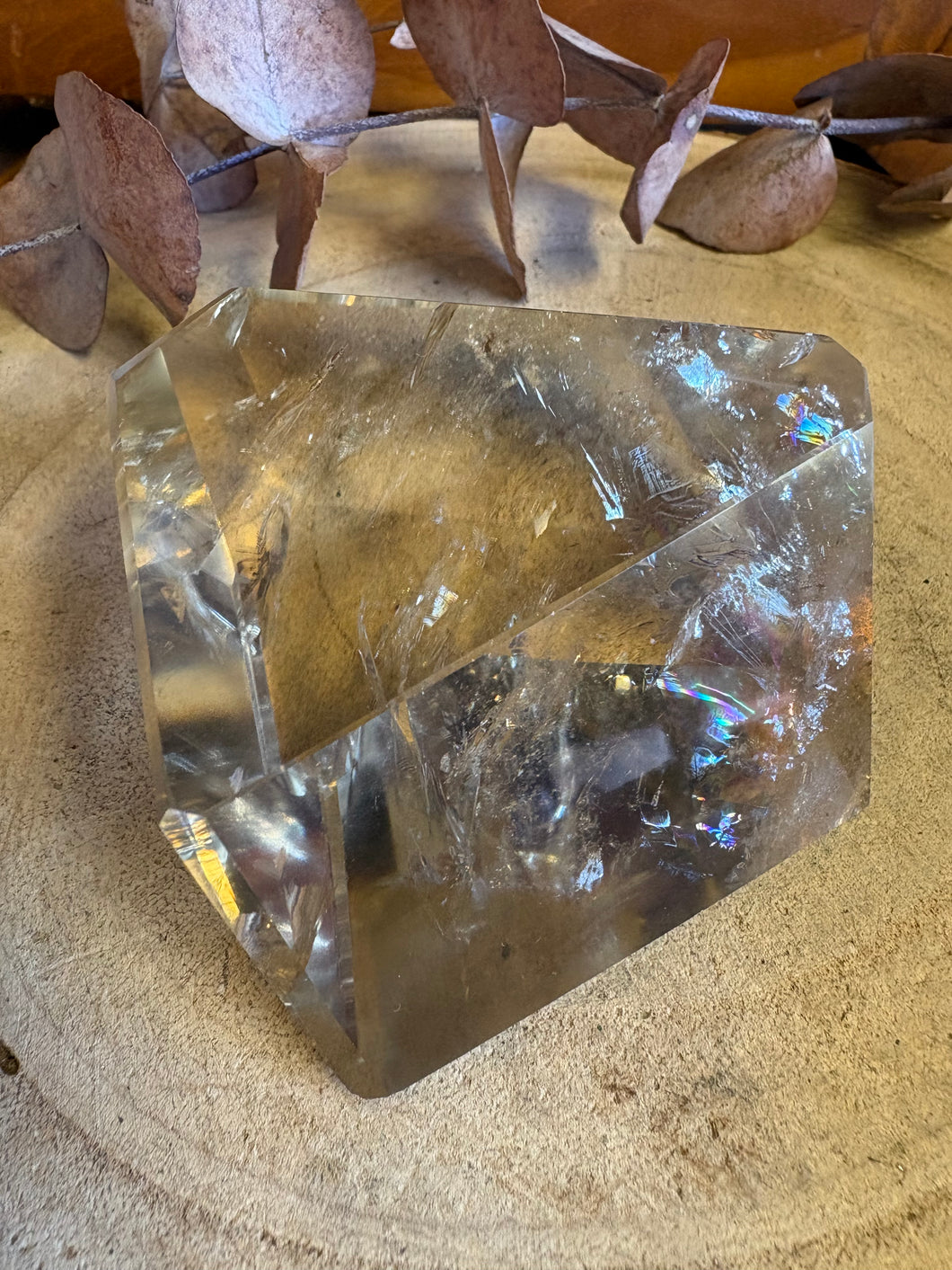 Natural Citrine Facet Cut Freeform SKU 26552