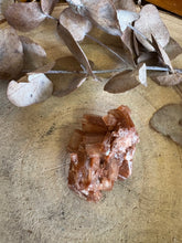 Aragonite Sputnik SKU 24423A