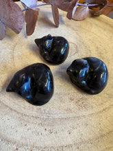 Silver Sheen Obsidian Cat SKU 26466