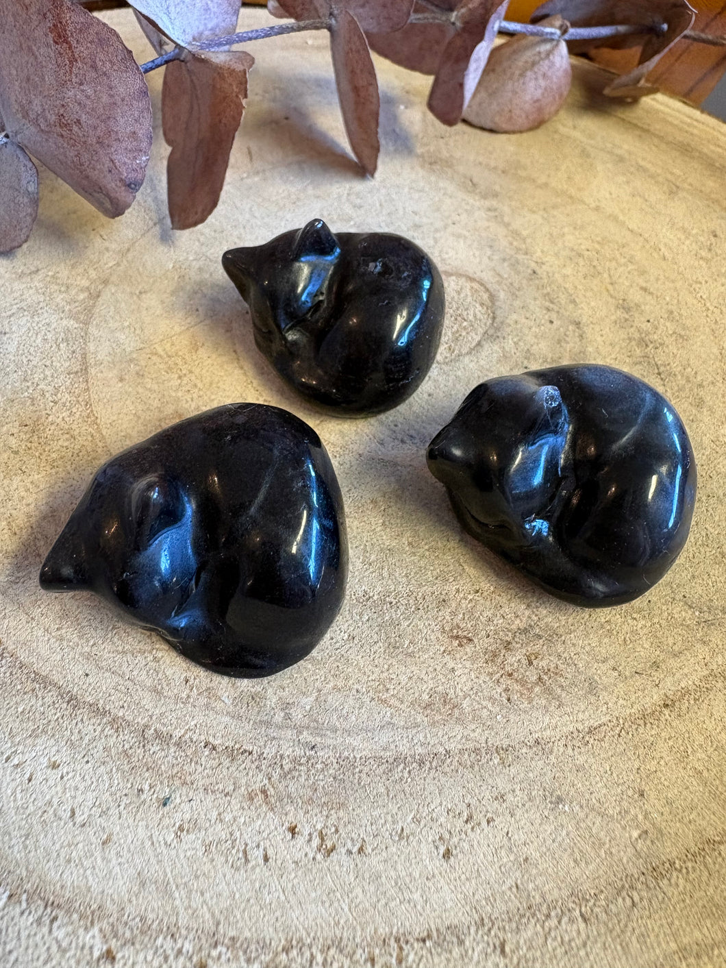 Silver Sheen Obsidian Cat SKU 26466