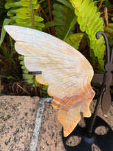 Amazonite Winged Butterfly SKU 25316A