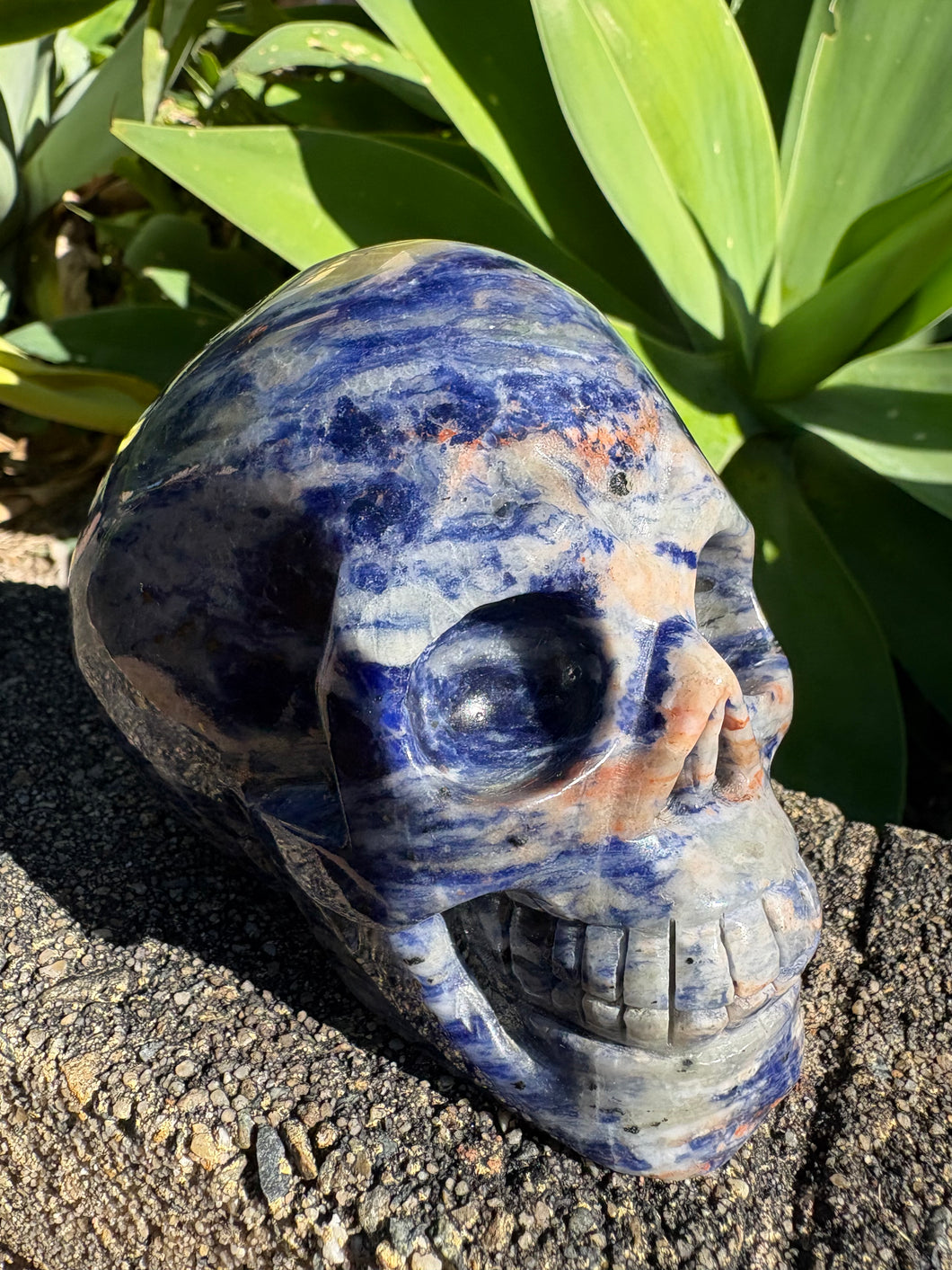 Sodalite Skull Carving SKU 26581