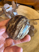 Black Opal Palm Stone SKU 24561