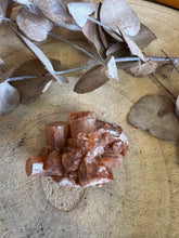 Aragonite Sputnik SKU 24423A