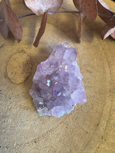 Amethyst Small Cluster SKU 21377