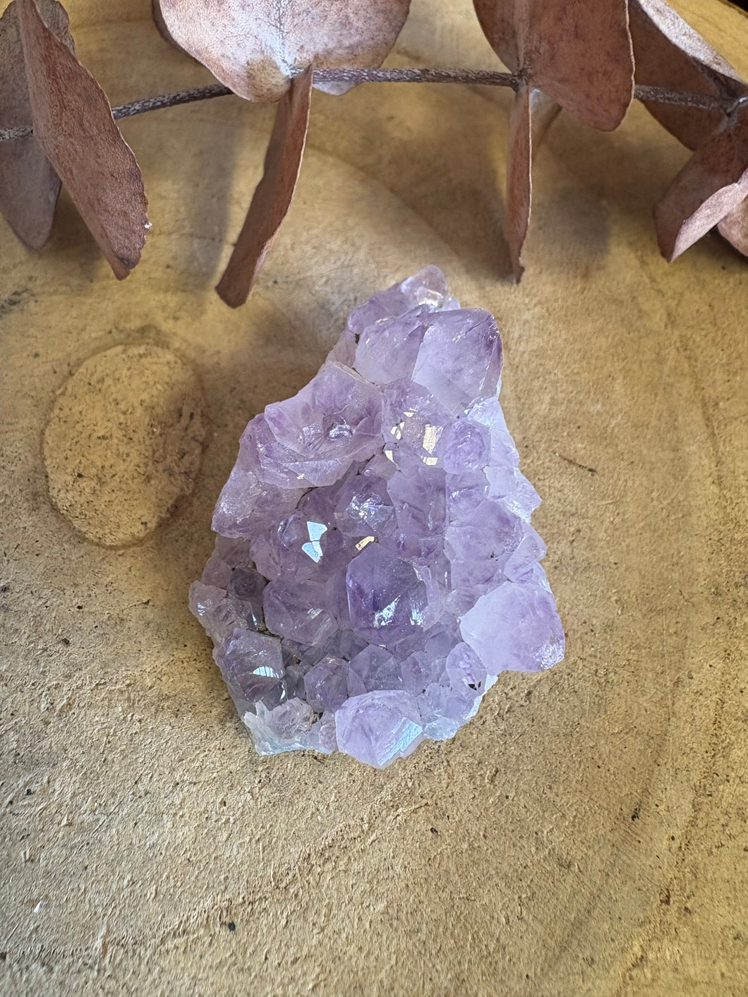 Amethyst Small Cluster SKU 21377