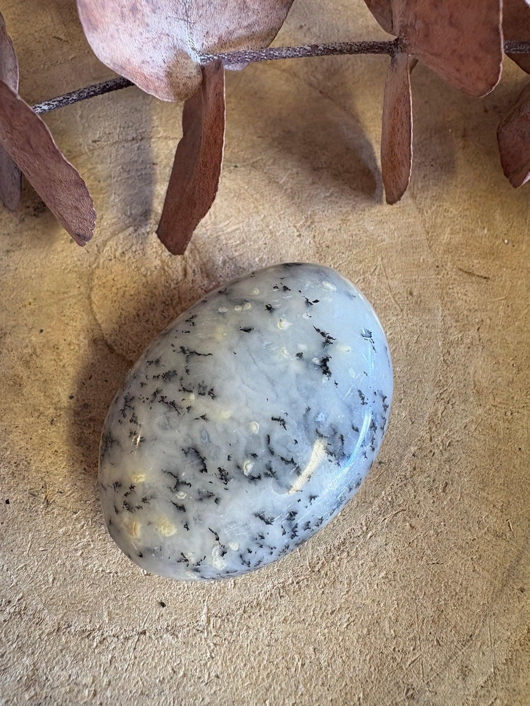Dendritic Opal Palm Stone SKU 25599