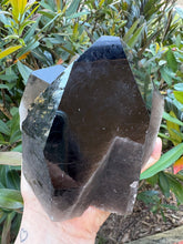 Smoky Quartz Natural Point Cluster SKU 25074