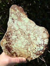 Lemon Chrysophase Slab SKU 25020