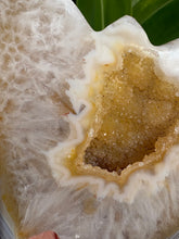 Druzy Agate Butterfly Carving SKU 27044