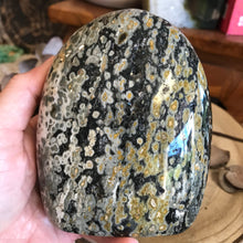 Ocean Jasper Freeform SKU 23303