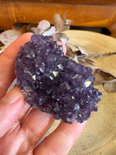 Amethyst Pineapple Cluster SKU 24881