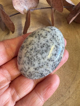 Dendritic Opal Palm Stone SKU 25598