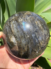 Labradorite Large Sphere SKU 23902