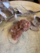 Aragonite Sputnik SKU 24607