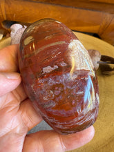 Petrified Wood Freeform SKU 25837