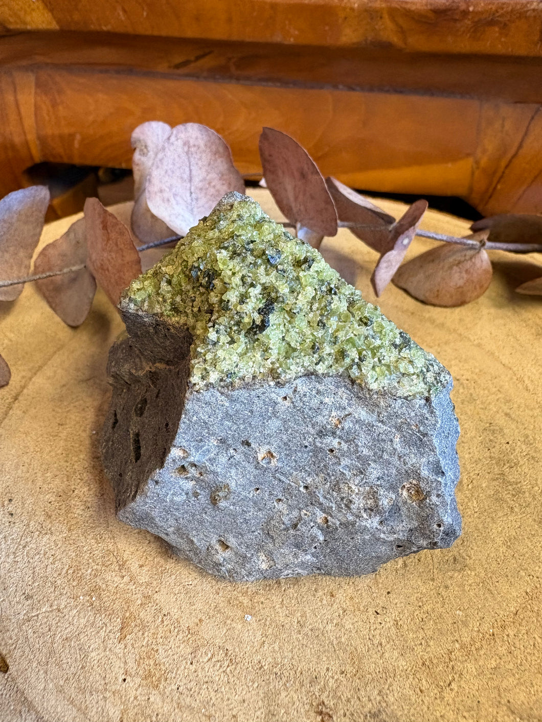 Peridot on Basalt Specimen SKU 26311