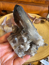 Smoky Quartz Cluster SKU 26190